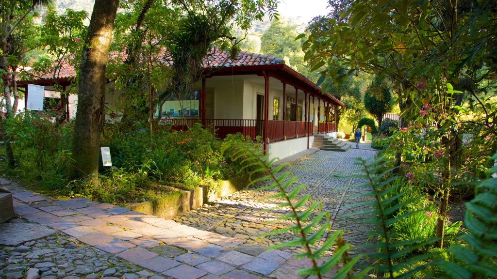 Explora el rico patrimonio cultural de Bogotá: Día Internacional de los Museos